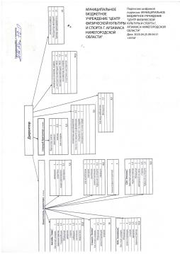 Структура МБУ "ЦФКиС г. Арзамаса Нижегородской области"